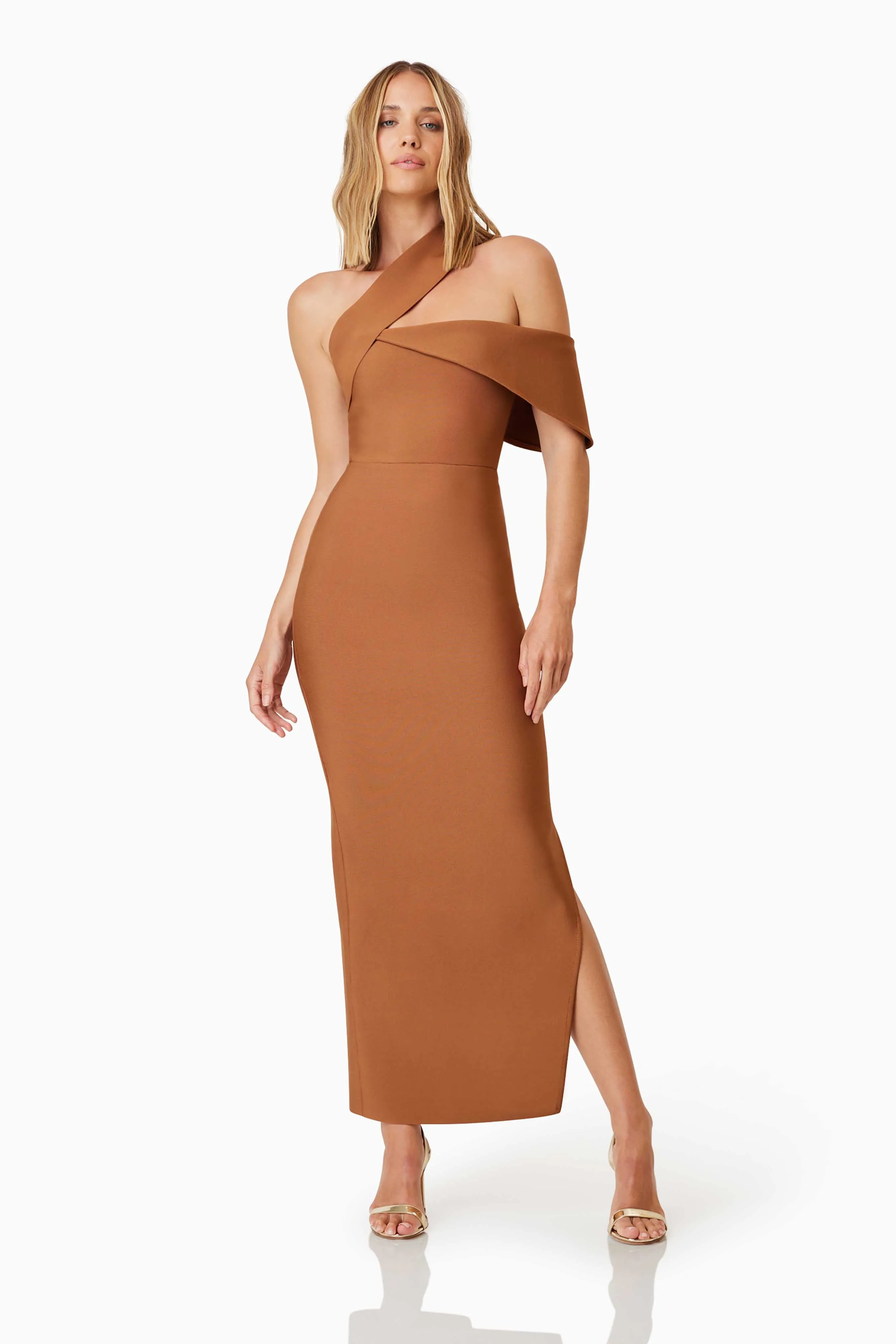 Riley Fitted Maxi Dress In Brown