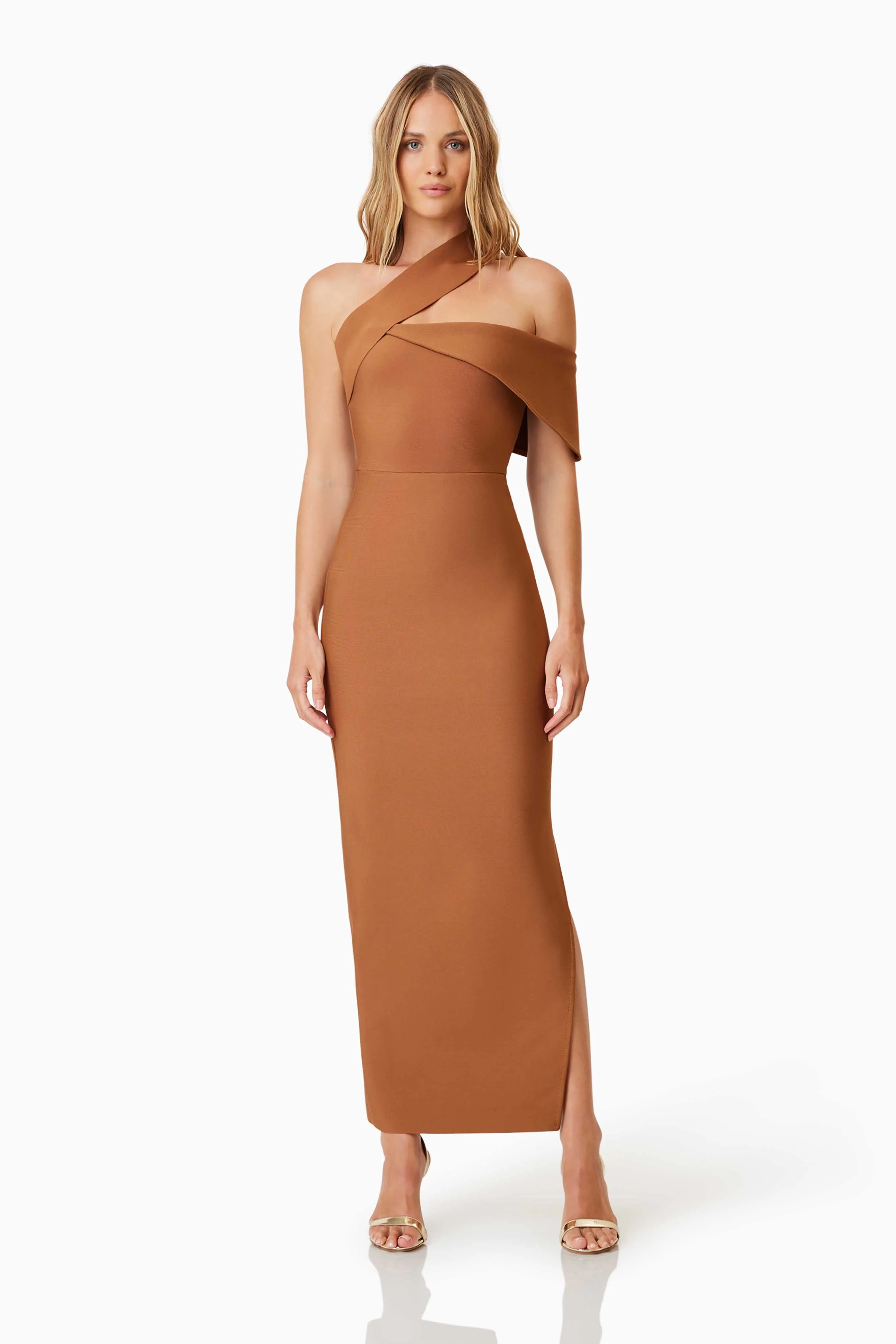 Riley Fitted Maxi Dress In Brown