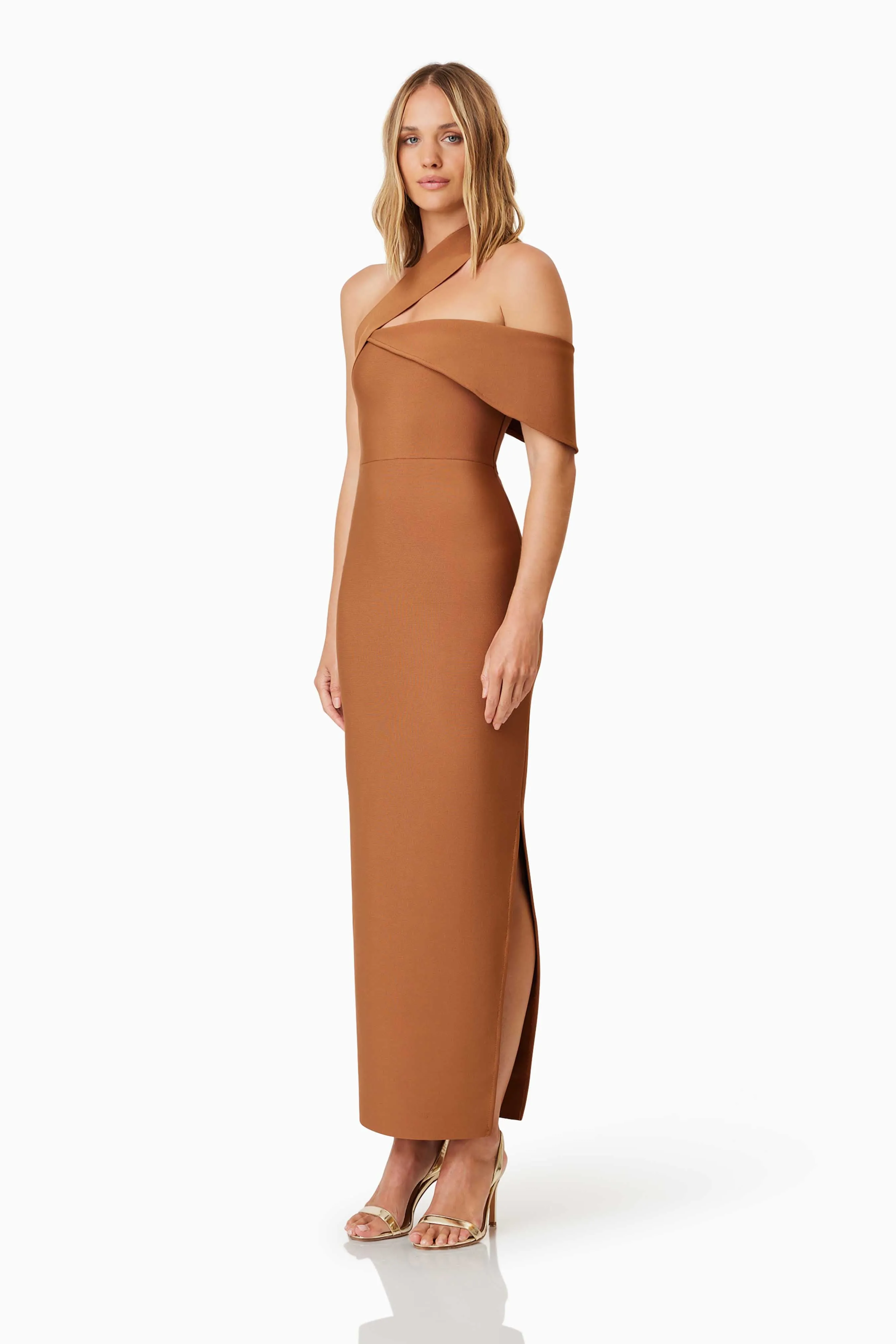 Riley Fitted Maxi Dress In Brown