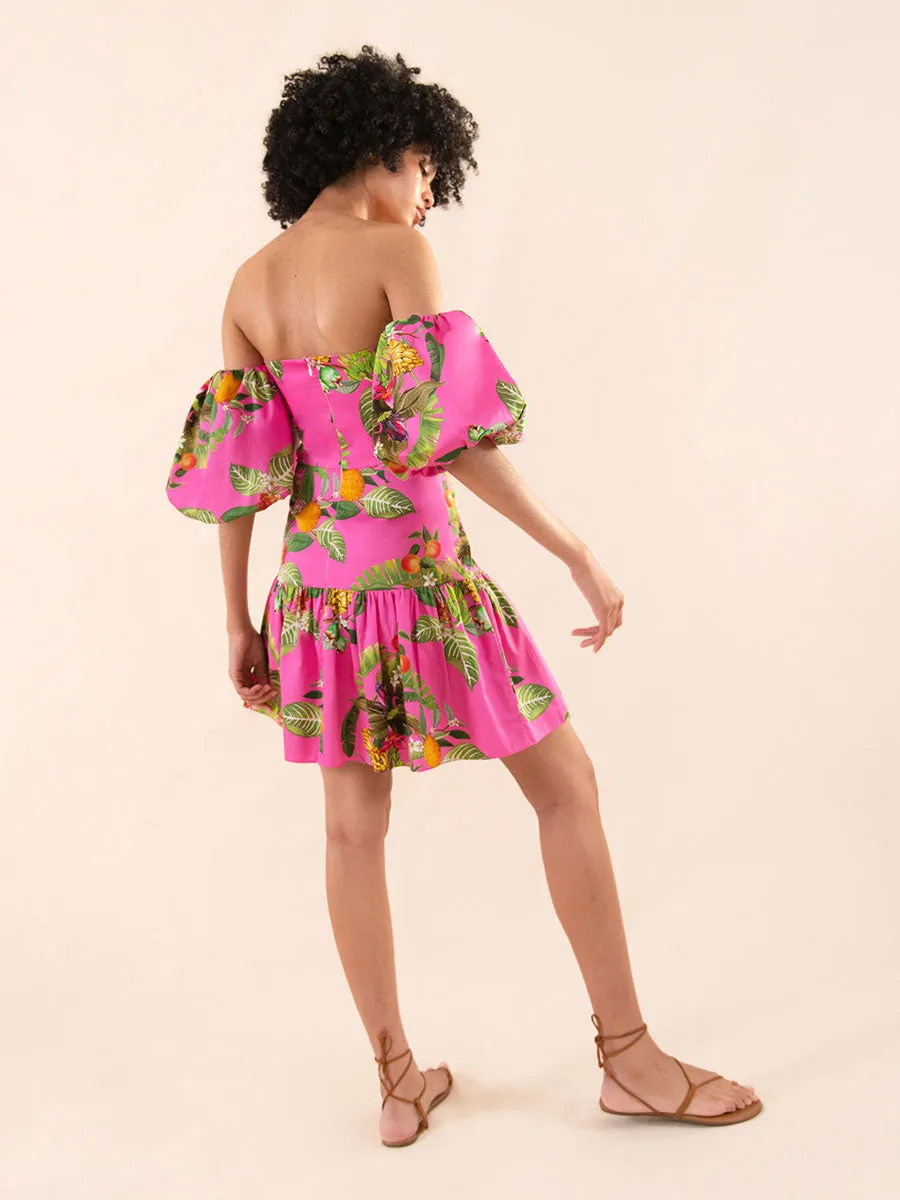 Ziggy Cotton Mini Dress - Calypso Pink